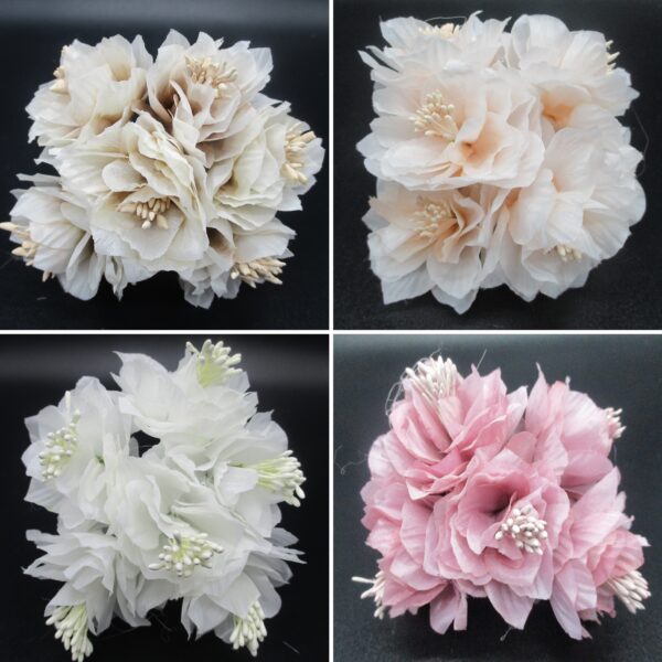 FIORE DALIA CON PISTILLI