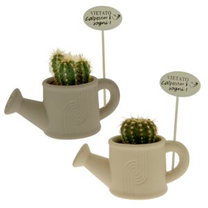 VASO ANNAFFIATOIO STONE CON PIANTE