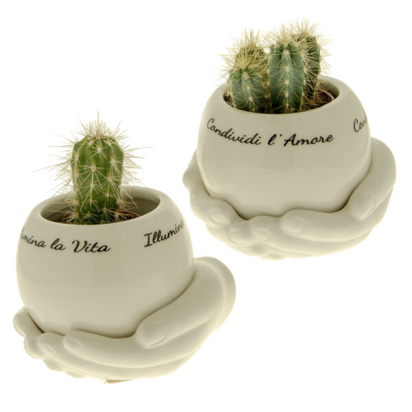 VASO ILLUMINA MANI CON PIANTE