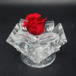 ROSA ROSSA STABILIZZATA MIGNON