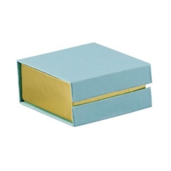 ASTUCCIO LIGHT BLUE CON DIVISORI