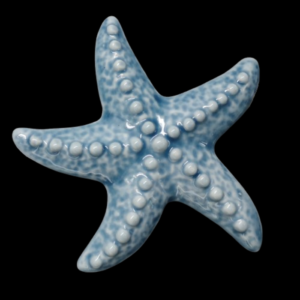 STELLA MARINA BLUE MAGNETE