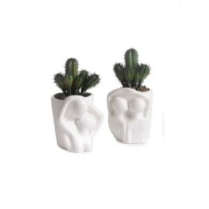 VASO INNAMORATI STILIZZATO CON CACTUS